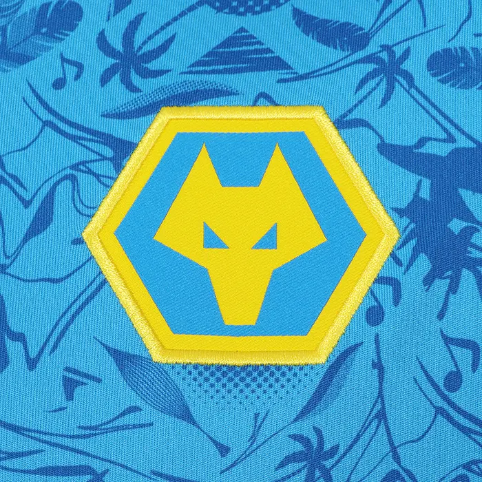 Wolverhampton Wanderers Kits Shop | 2025-26 Wolves Third Shirt – Adult Wolves Jerseys and Gear